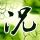 横尾太郎：《尼尔》不是开放世界游戏！